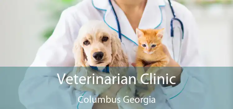 Veterinarian Clinic Columbus Georgia