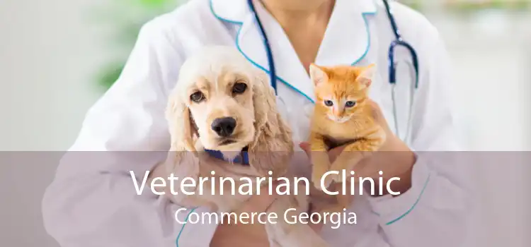 Veterinarian Clinic Commerce Georgia