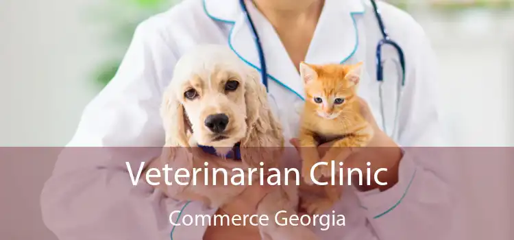 Veterinarian Clinic Commerce Georgia