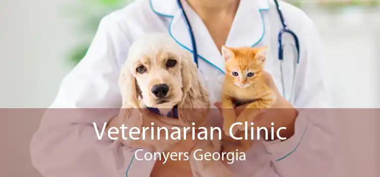 Veterinarian Clinic Conyers Georgia
