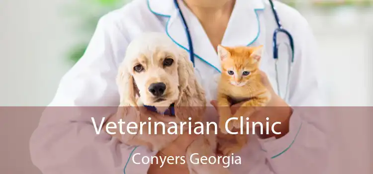 Veterinarian Clinic Conyers Georgia