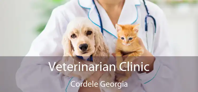 Veterinarian Clinic Cordele Georgia