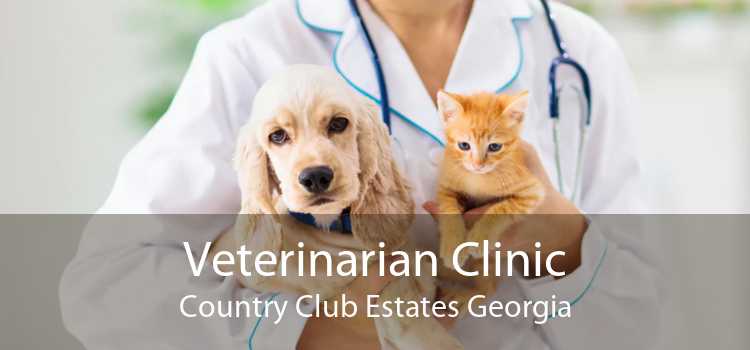 Veterinarian Clinic Country Club Estates Georgia