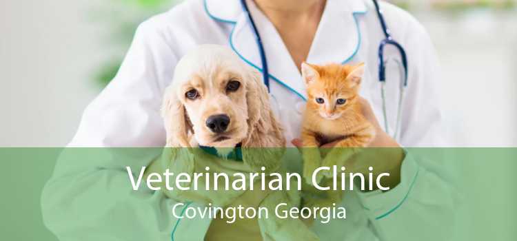 Veterinarian Clinic Covington Georgia