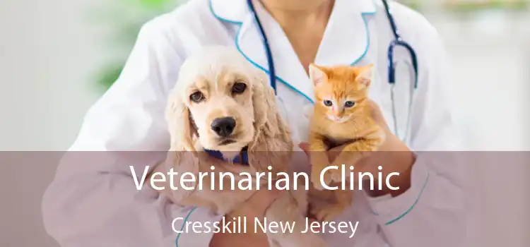 Veterinarian Clinic Cresskill New Jersey