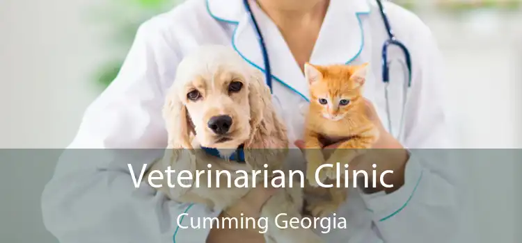 Veterinarian Clinic Cumming Georgia