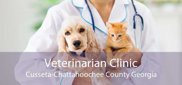 Veterinarian Clinic Cusseta Chattahoochee County Georgia