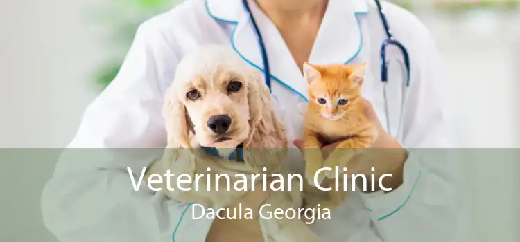 Veterinarian Clinic Dacula Georgia