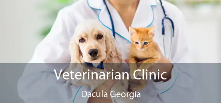 Veterinarian Clinic Dacula Georgia