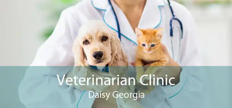 Veterinarian Clinic Daisy Georgia