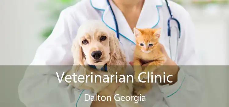 Veterinarian Clinic Dalton Georgia