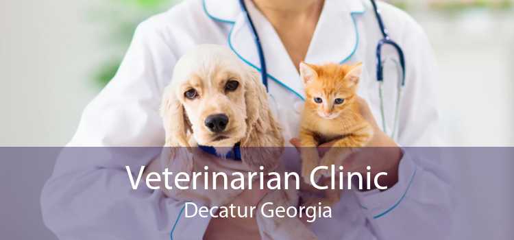 Veterinarian Clinic Decatur Georgia