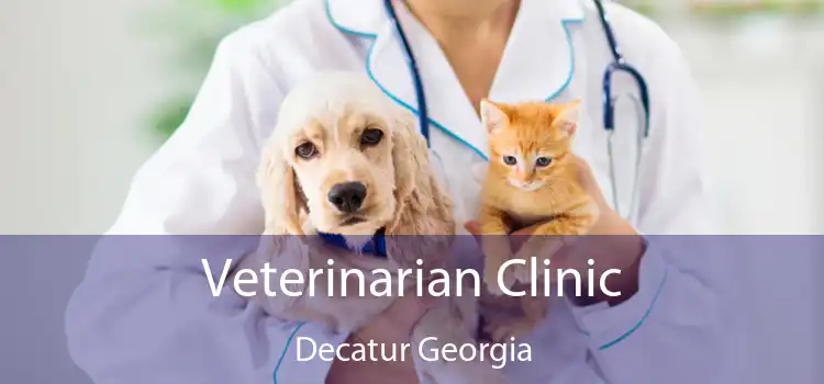 Veterinarian Clinic Decatur Georgia
