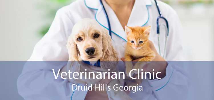Veterinarian Clinic Druid Hills Georgia