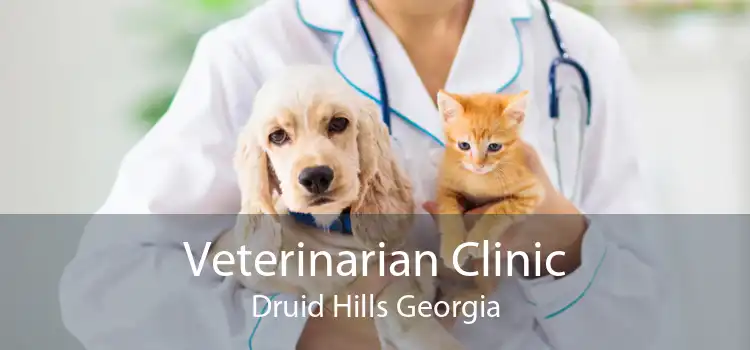Veterinarian Clinic Druid Hills Georgia