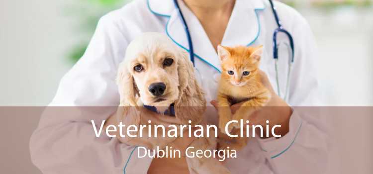 Veterinarian Clinic Dublin Georgia