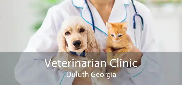 Veterinarian Clinic Duluth Georgia