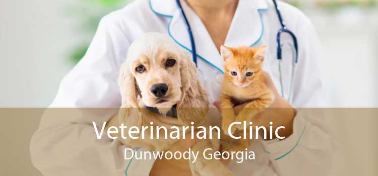 Veterinarian Clinic Dunwoody Georgia