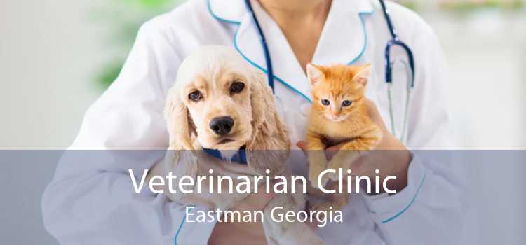 Veterinarian Clinic Eastman Georgia