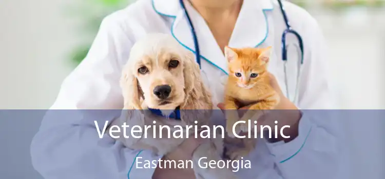 Veterinarian Clinic Eastman Georgia