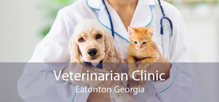 Veterinarian Clinic Eatonton Georgia