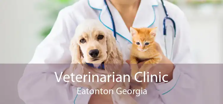 Veterinarian Clinic Eatonton Georgia