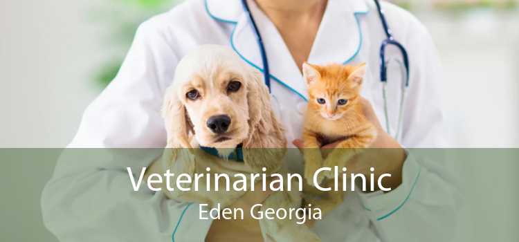 Veterinarian Clinic Eden Georgia