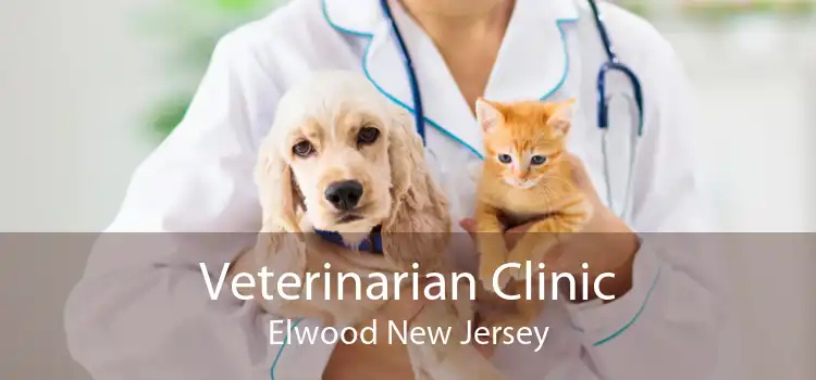 Veterinarian Clinic Elwood New Jersey