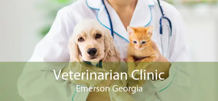 Veterinarian Clinic Emerson Georgia