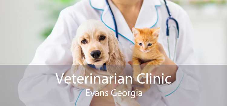 Veterinarian Clinic Evans Georgia