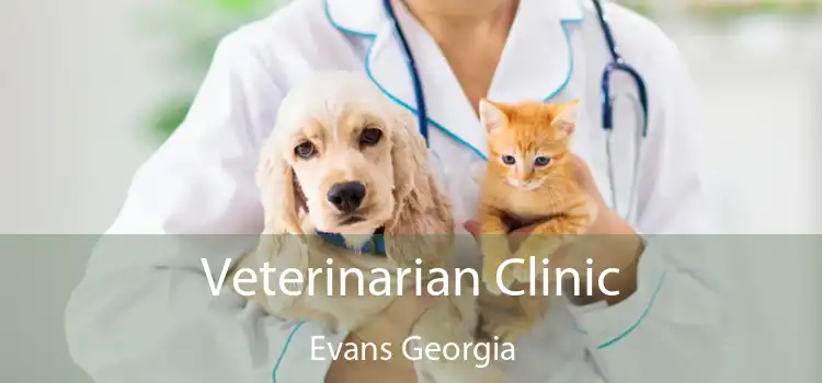 Veterinarian Clinic Evans Georgia