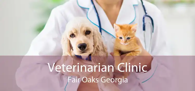 Veterinarian Clinic Fair Oaks Georgia