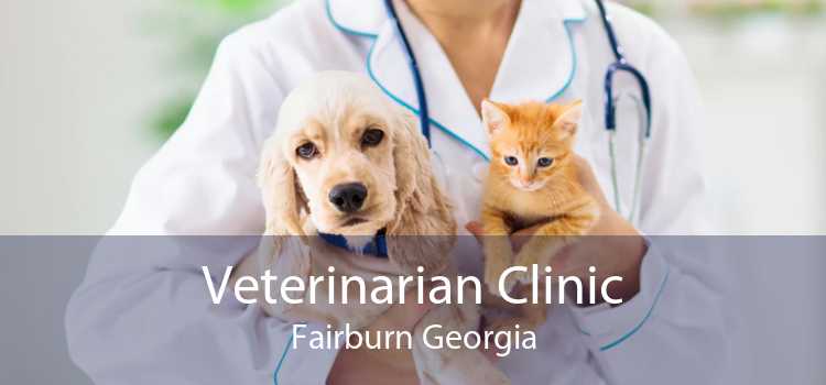 Veterinarian Clinic Fairburn Georgia