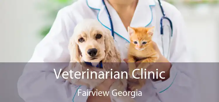 Veterinarian Clinic Fairview Georgia