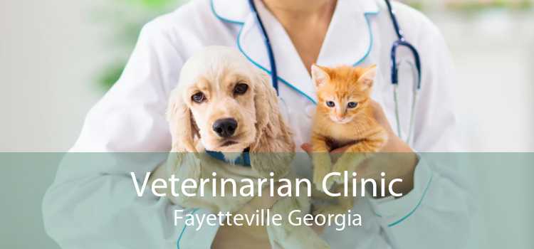 Veterinarian Clinic Fayetteville Georgia