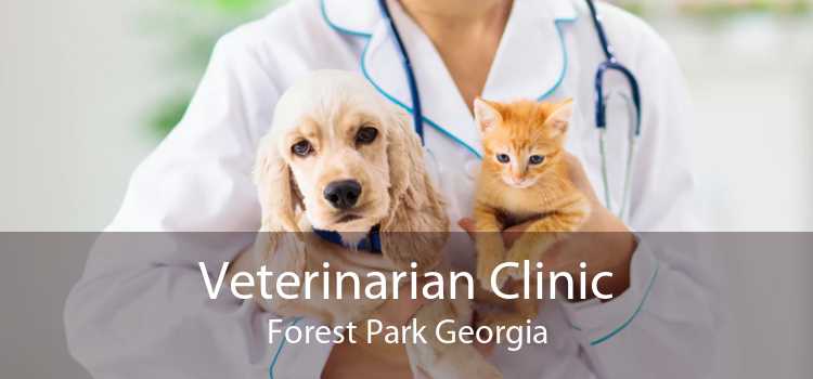 Veterinarian Clinic Forest Park Georgia