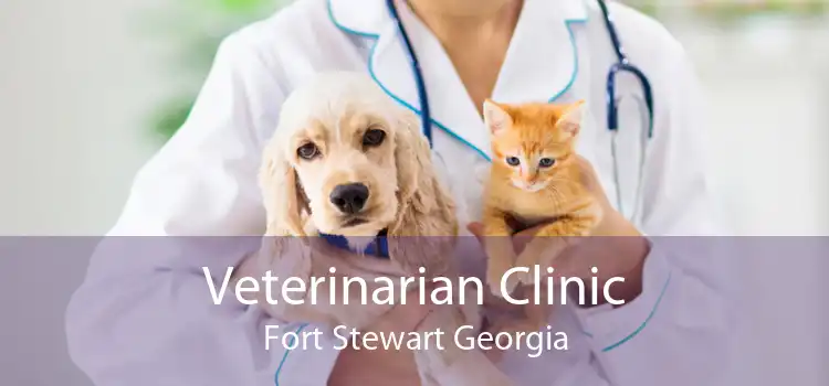 Veterinarian Clinic Fort Stewart Georgia