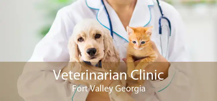 Veterinarian Clinic Fort Valley Georgia
