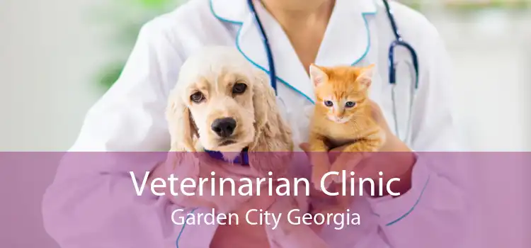 Veterinarian Clinic Garden City Georgia