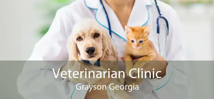 Veterinarian Clinic Grayson Georgia