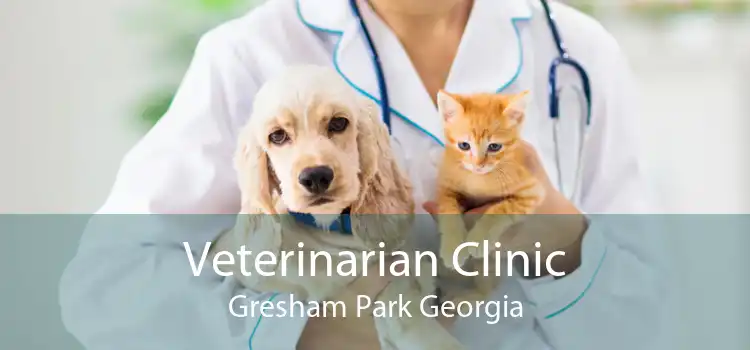 Veterinarian Clinic Gresham Park Georgia