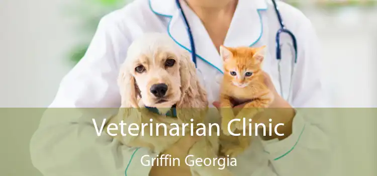 Veterinarian Clinic Griffin Georgia