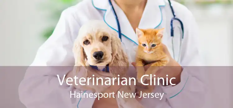 Veterinarian Clinic Hainesport New Jersey