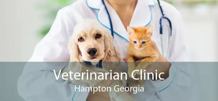 Veterinarian Clinic Hampton Georgia