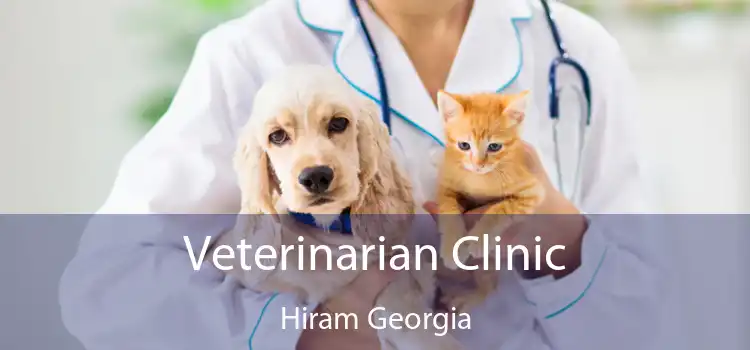 Veterinarian Clinic Hiram Georgia