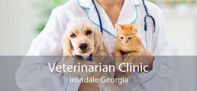 Veterinarian Clinic Irondale Georgia