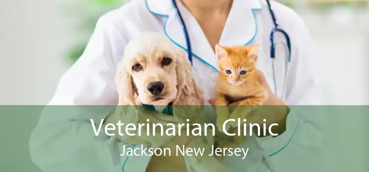 Veterinarian Clinic Jackson New Jersey