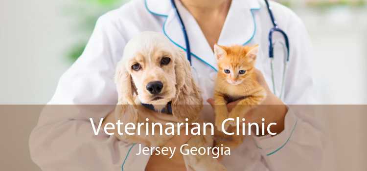 Veterinarian Clinic Jersey Georgia