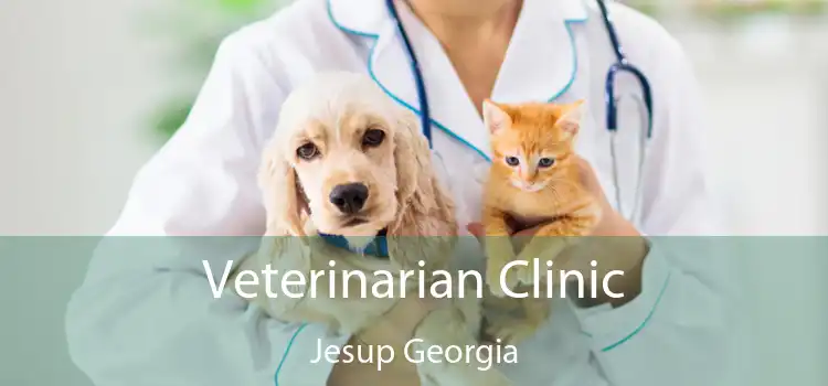 Veterinarian Clinic Jesup Georgia