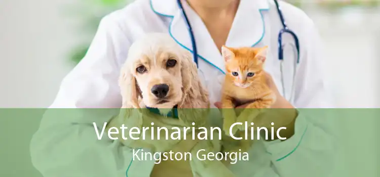 Veterinarian Clinic Kingston Georgia